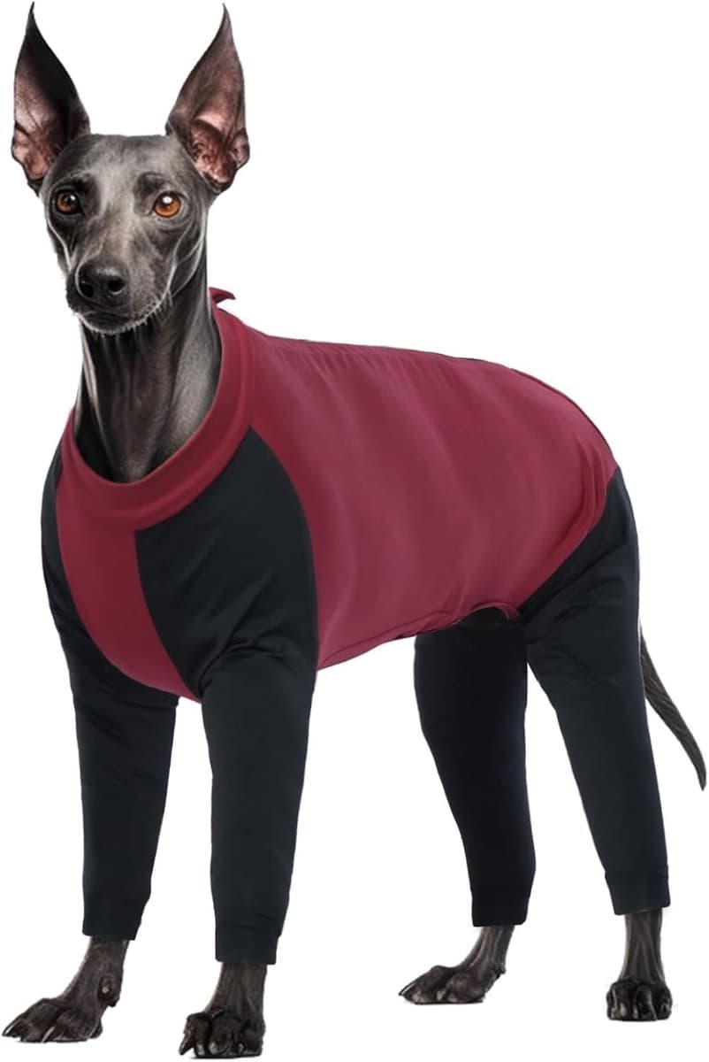 Hondentrui voor Herstel, Lange Mouwen, Geschikt voor Grote Honden, Rood, Comfortabel en Warm