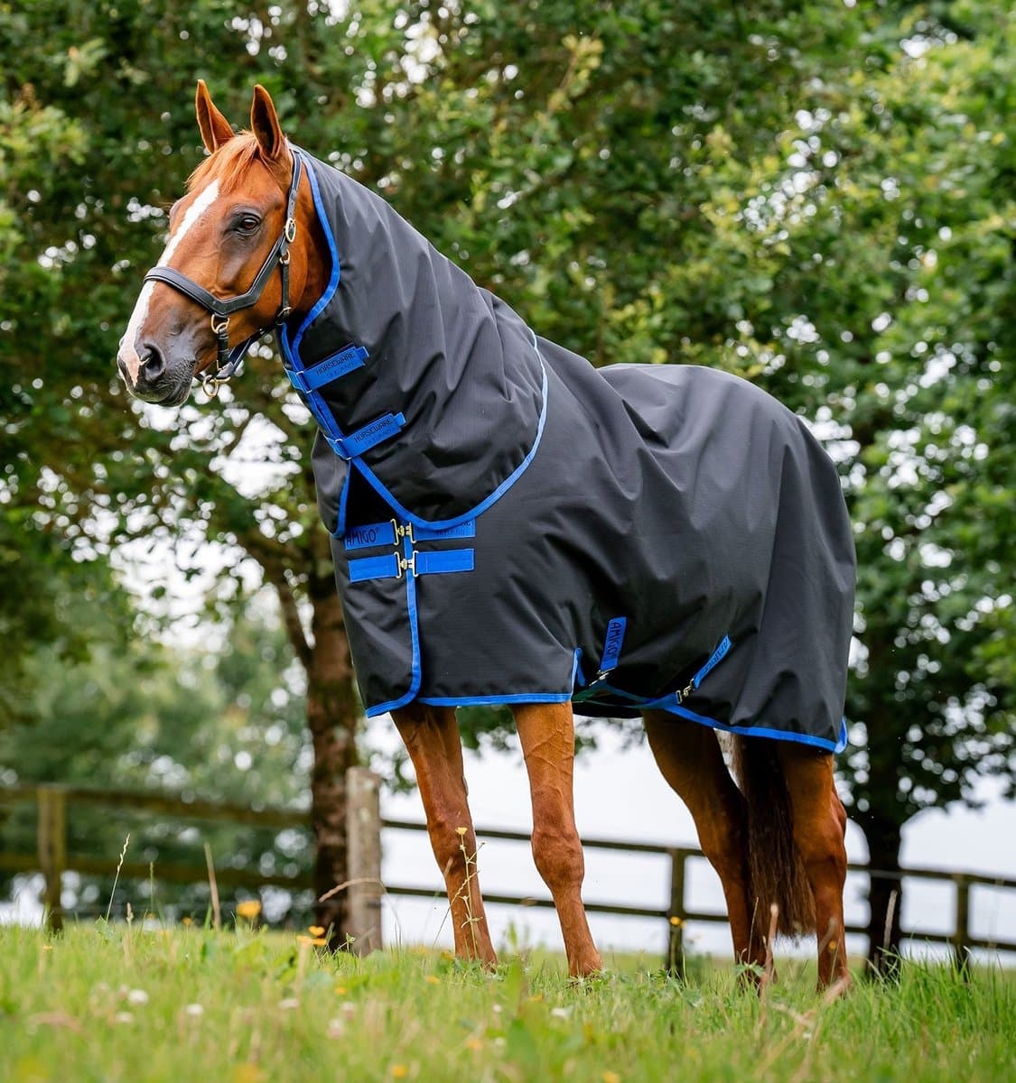 HorseWare Amigo Ripstop 900D Plus 180 Zwart/Navy
