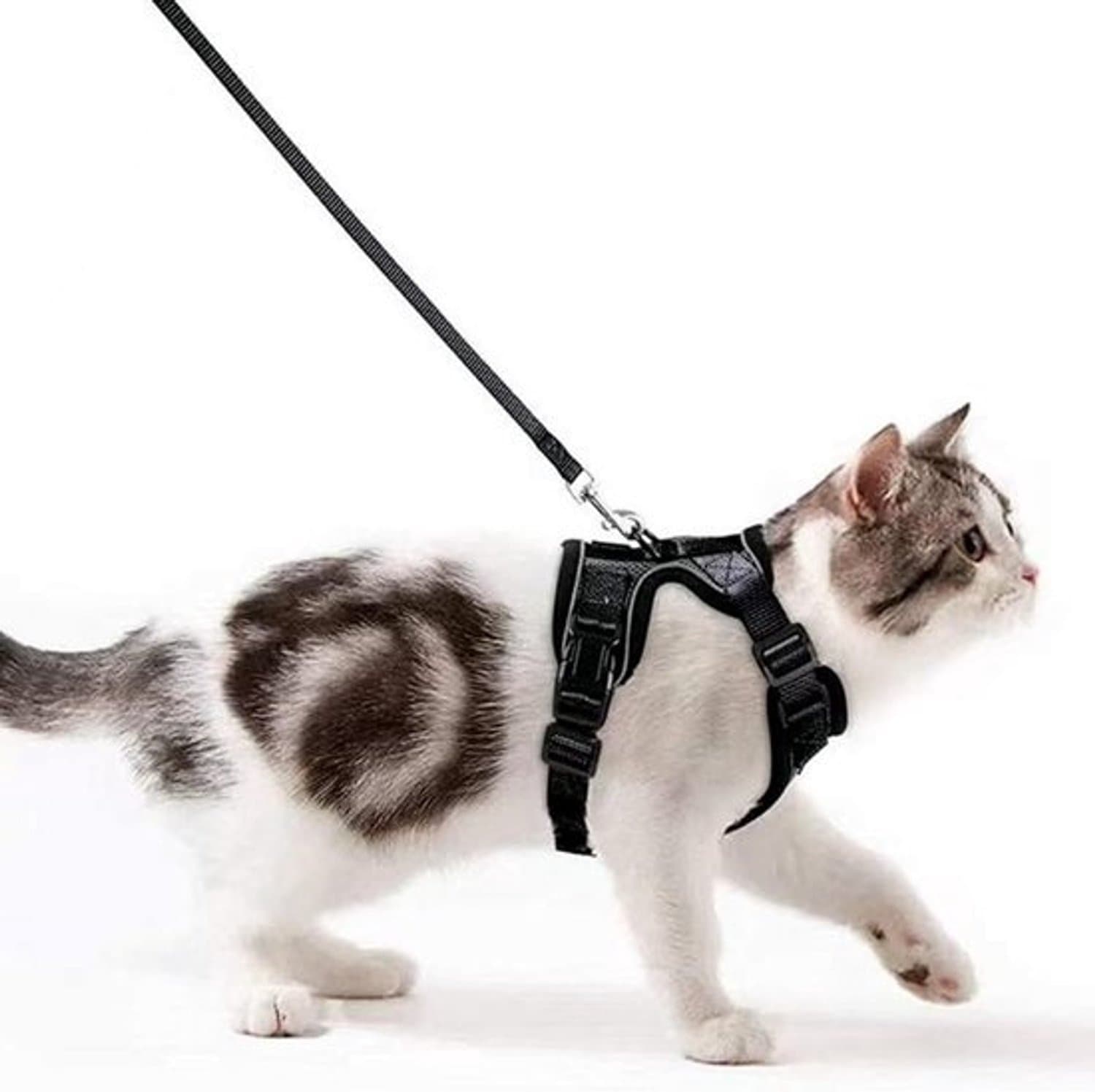 Ademend kattenharnas - Reflecterende lijn - Voor kleine honden (Zwart, XS)