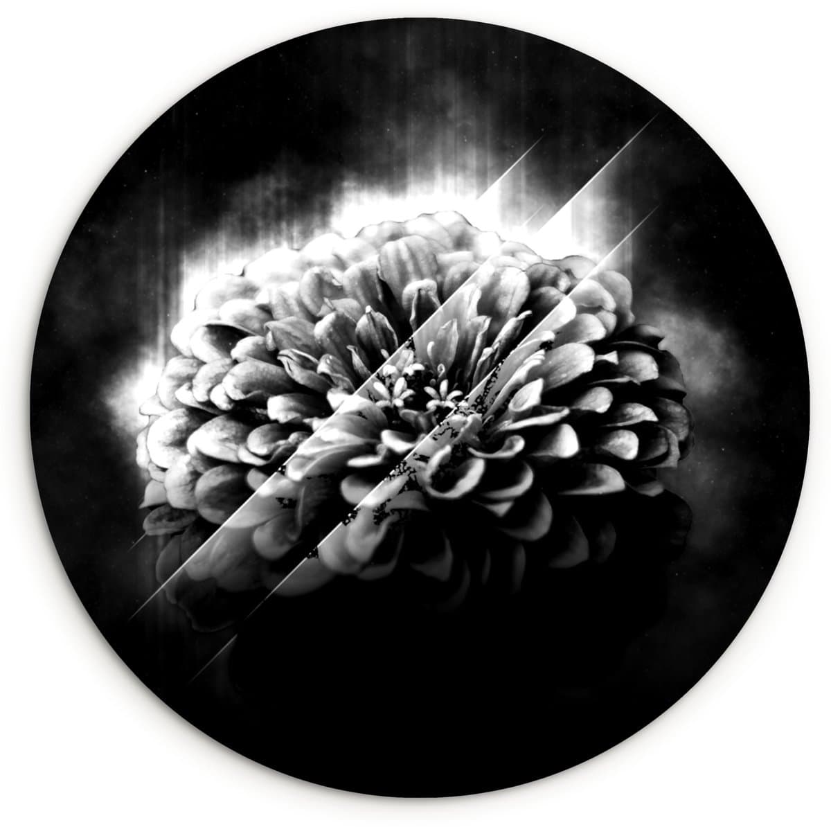 WallCircle® Wandcirkel 150x150 cm - Muurcirkel Rozen - Bloemen - Licht - Zwart - Wit - Muurdecoratie woonkamer - Wanddecoratie slaapkamer - Kamer decoratie accessoires - Ronde schilderijen