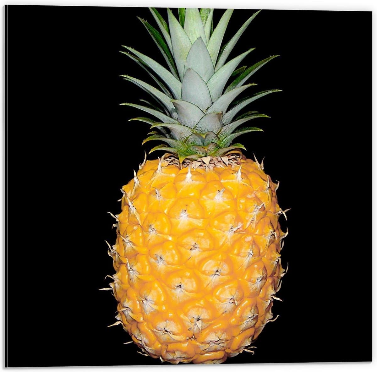 Dibond - Ananas met een Zwarte Achtergrond - 50x50cm Foto op Aluminium (Wanddecoratie van metaal)