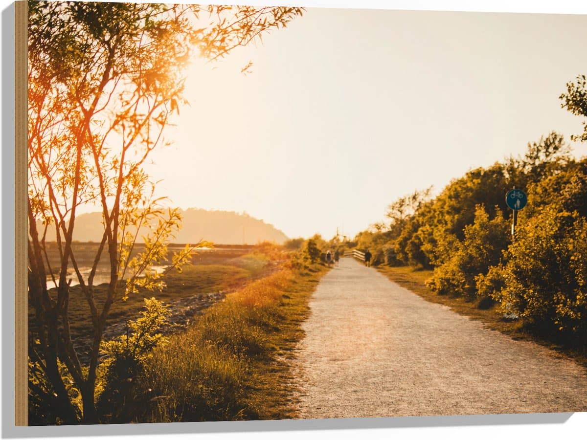 Hout - Zonnestralen in de Avond op Loop- en Fietspad - 80x60 cm - 9 mm dik - Foto op Hout (Met Ophangsysteem)