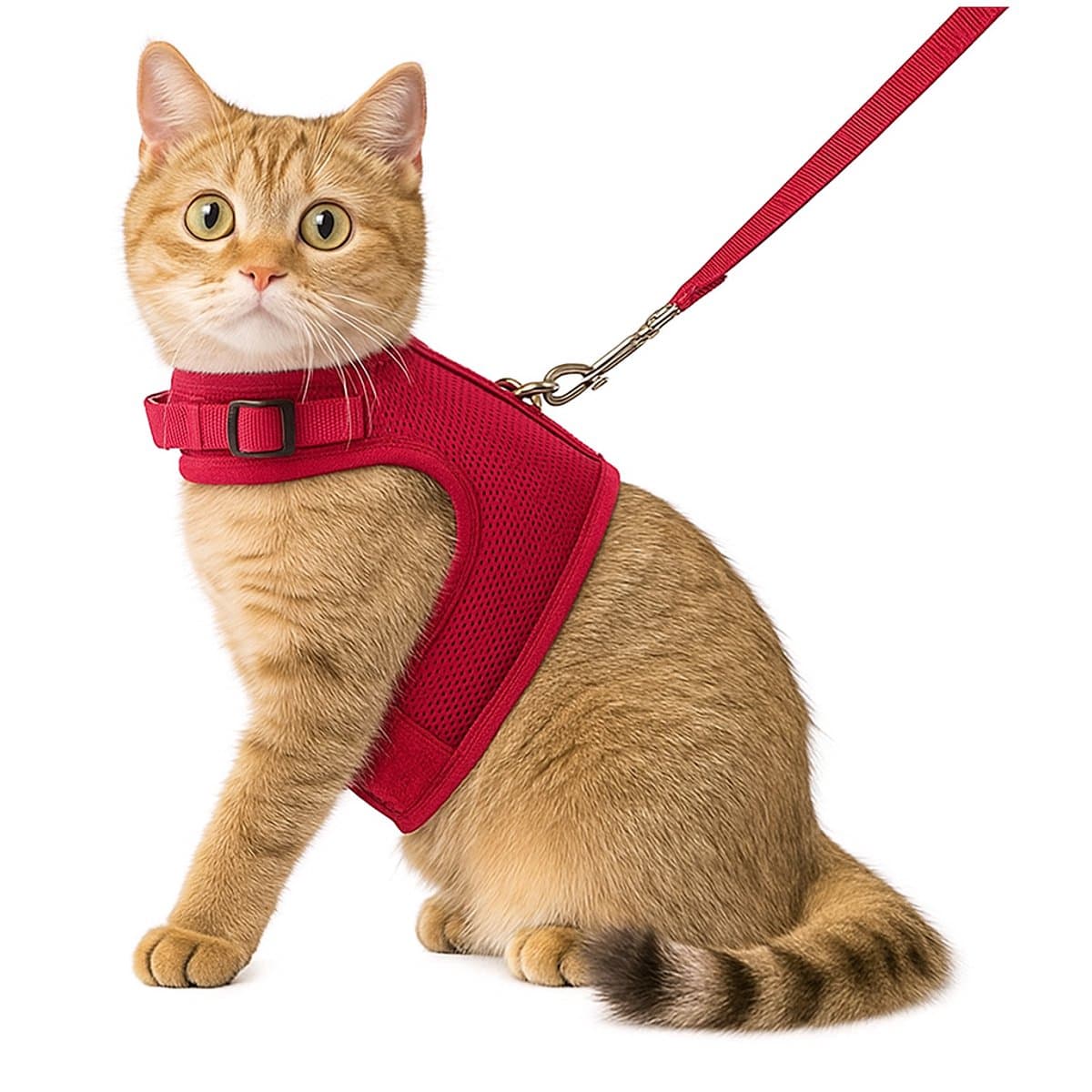 Zootic kattentuigje met looplijn - Maat L - rood - Halsomvang 24-32cm - Borstomvang 36-40cm - Kattenharnas