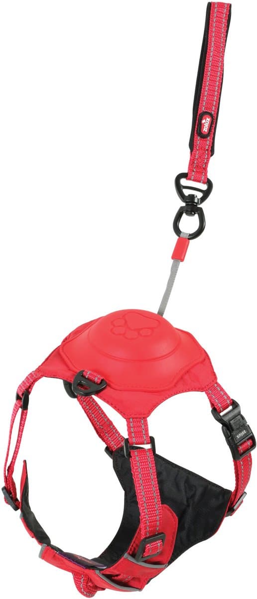 EASYRIDE TUIG ROOD S 41-54CM