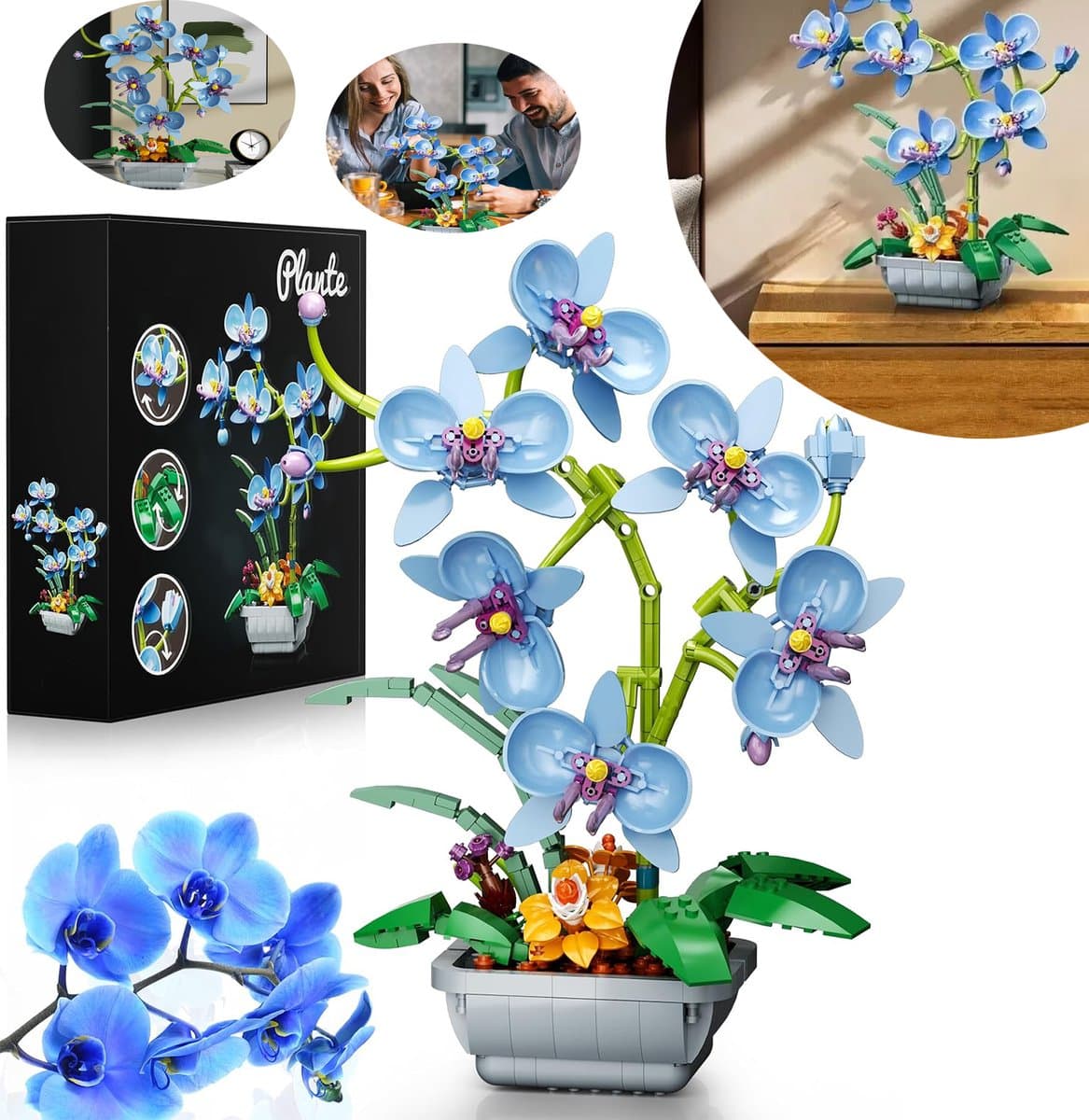 Orchideeënbloemen Bouwset, Doe-Het-Zelfplan Voor Een Kunstorchidee, Bloemrijke Plantendecoratie, Voor Bloemenliefhebbers.