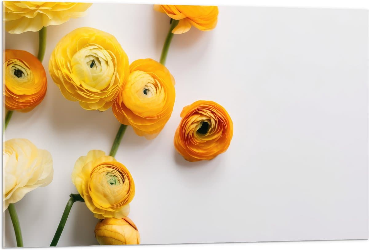 Acrylglas - Gele Bloemen op Witte Achtergrond - 105x70 cm Foto op Acrylglas (Wanddecoratie op Acrylaat)