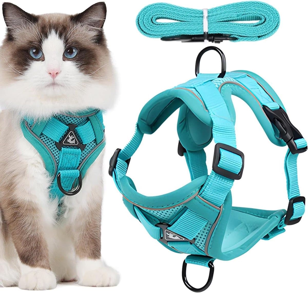 Kattentuig - Huisdier harnas - Veilig wandelen - Anti-ontsnapping ontwerp - XL - Blauw