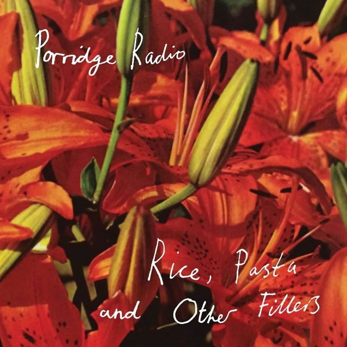 Porridge Radio - Rice, Pasta And Other Fillers (LP) (Coloured Vinyl) (Limited Edition)