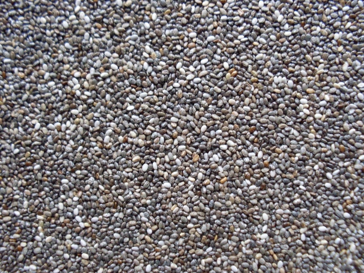 Chiazaad 1 Kilo - Superfood voor Vogels - Raw Chia Zaad