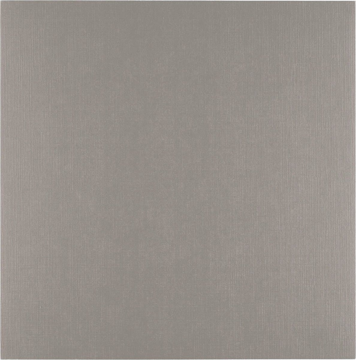 Florence Cardstock Linnenkarton - Concrete (Grijs) - Gekleurd Papier - 30,5 x 30,5 cm - 100 vellen - Textuur - 250 g