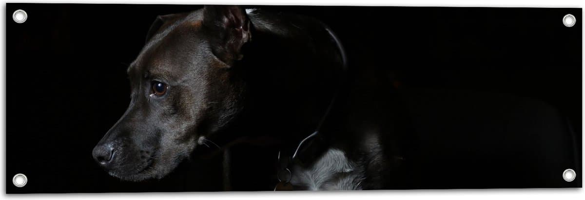 Tuinposter – Zwarte Hond met Donkere Achtergrond - 90x30 cm Foto op Tuinposter (wanddecoratie voor buiten en binnen)