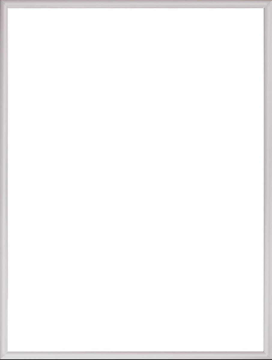 Homedecoration Almelo – Fotolijst – Fotomaat – 32 x 72 cm – Zilver Mat