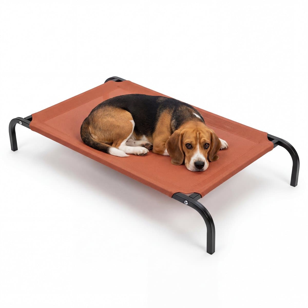 JAXY Hondenbed - Hondenstretcher Binnen & Buiten - Honden Ligbed Orthopedisch - Hondenbed Op Pootjes - Maat M - Terracotta