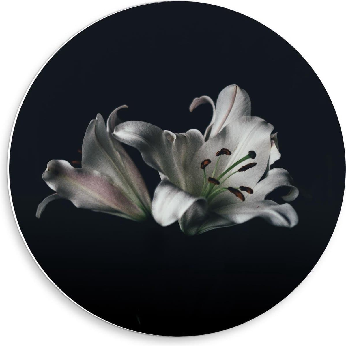 KuijsFotoprint - Schilderij - Zonder Steel - Zwart En Wit - 50 X 50 Cm