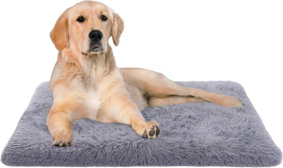 Huisdierbed - Hondenmand Kattenmand - Comfortabel Rusten - Wasbaar Rechthoekig - 60x100 cm - Grijs